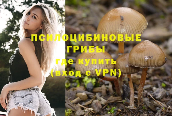 гашик Баксан