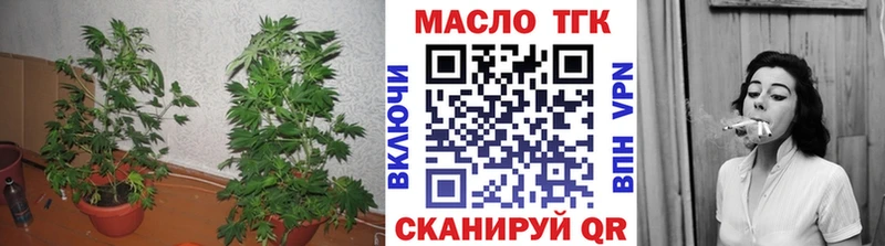Купить закладки  Моршанск  ТГК жижа 