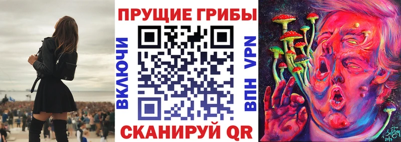 Купить  Моршанск  Псилоцибиновые грибы Cubensis 